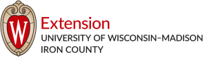 UW. Extension new 2023 Logo