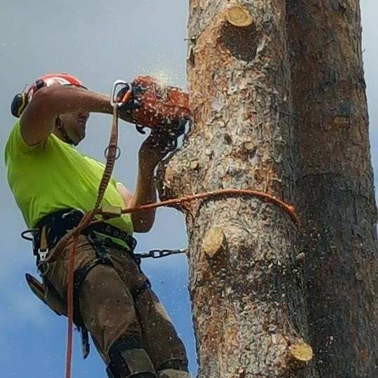 Joe's Tree Service - Ironwood Area Chamber of Commerce