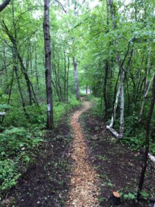 Miners Memorial Park trail spring