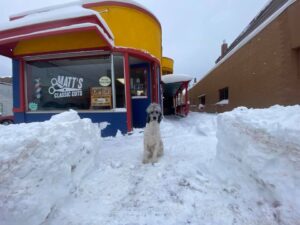 Matt's Classic Cuts profile pic